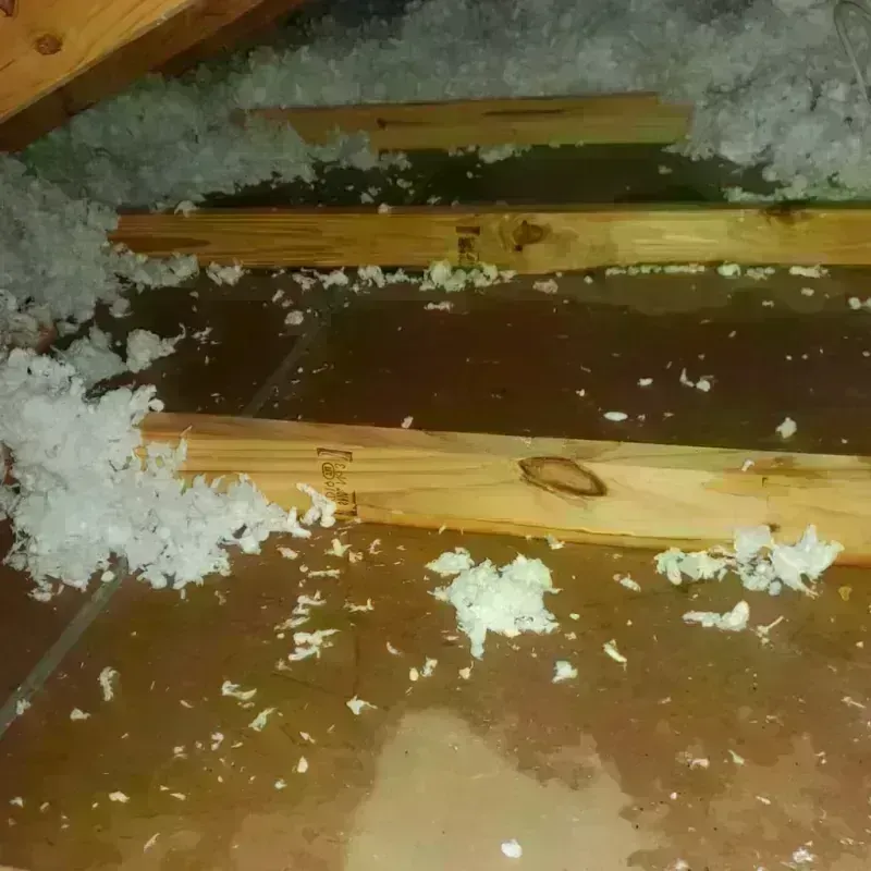 Attic Water Damage in Lake Darby, OH