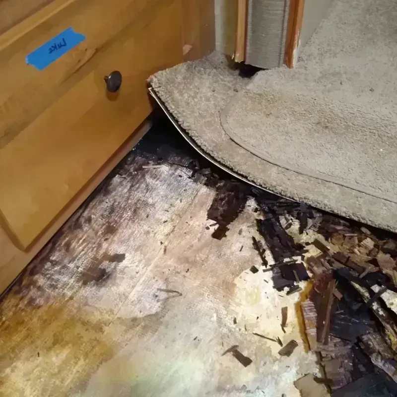 Wood Floor Water Damage in Lake Darby, OH